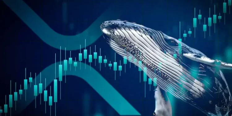 Can XRP Price Reach $3 This Week? Bullish Pattern Emerges as Whale Opens $5M Long Position