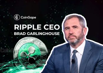Ripple CEO Brad Garlinghouse Calls Out Pro-Bitcoin Senator
