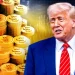 TRUMP Coin Team Dumps Millions to Exchanges: Is a Major Sell-Off Incoming?