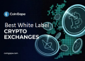 Best White Label Crypto Exchanges In 2025