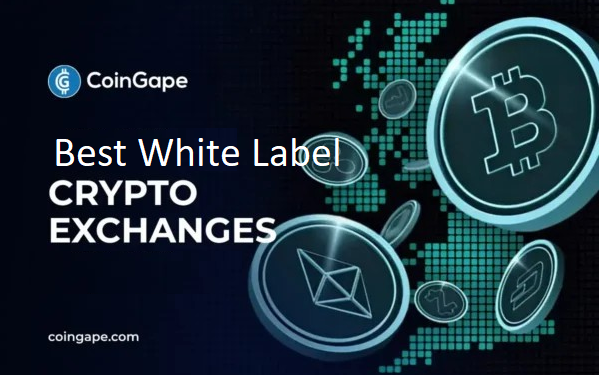 Best White Label Crypto Exchanges In 2025