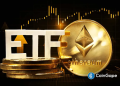 Ethereum ETFs Record Best Week Since Launch With $900M Inflows