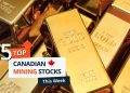 Top 5 Canadian Mining Stocks This Week: Avanti Gold Gains 158 Percent on Misisi Settlement
