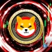 Shiba Inu Team Issues Security Measures to SHIB Holders Amid Rising Hacks