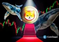 Analyst Predicts Shiba Inu Price Rally As Whale Transactions and Exchange Outflows Spike- Time to Buy?