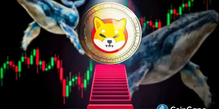 Analyst Predicts Shiba Inu Price Rally As Whale Transactions and Exchange Outflows Spike- Time to Buy?