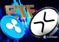 October Could Be a Make-or-Break Month for Ripple- Lawyer Amid XRP ETF and Banking License Decision