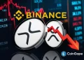 Binance is Dumping XRP, Expert Says Amid Price Decline