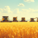 SovEcon raises Russian wheat export forecast for 2025-26, but initial shipments low