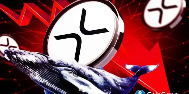 XRP Whales Dump 40M Coins Despite ETF Anticipation, Here’s Why