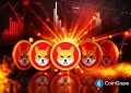 Shiba Inu Price Eyes 142% Breakout as Burn Rate Surges 201,207%— Is $0.000030 Next?