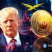 Trump-Backed WLFI Token Signals Rebound As Team Announces Buyback Plan