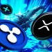 XRP Whales Buys the Dip Amid Macro Bullish Market Structure