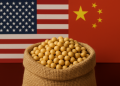 Trade hopes boost soybean prices as China makes first US purchases in months
