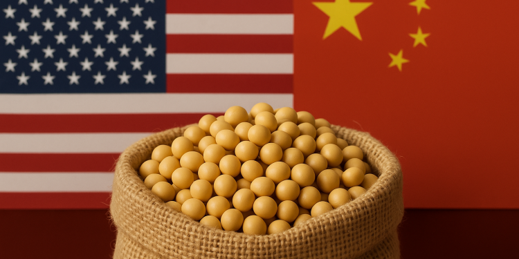 Trade hopes boost soybean prices as China makes first US purchases in months