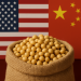 Trade hopes boost soybean prices as China makes first US purchases in months