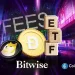 Bitwise Prepares for Spot Dogecoin ETF Launch, Discloses Ticker and Fees