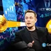 Elon Musk Net Worth 2025: How Close Is He to Half of Bitcoin’s Market Cap?
