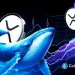 Is XRP Price Headed for $1.5 as Whales Dump 1.18B XRP in Just Four Weeks?