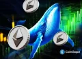 Ethereum Price Outlook Hinges on Whale Moves: Dump Below $2,800 or Reclaim Above $3K Next?