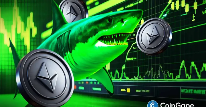Ethereum Price Reclaims $3,200 as Shark Wallets Accelerate Accumulation