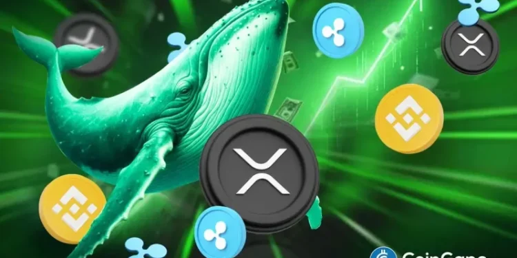 XRP Whale Inflows on Binance Hit 2-Year Low; Ripple Token Price Slips