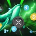 XRP Whale Inflows on Binance Hit 2-Year Low; Ripple Token Price Slips